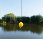 Chytil Rohlíkový boilies na EKO trnu FLUO 14mm 35g - Jahoda,Chytil Rohlíkový boilies na EKO trnu FLUO 14mm 35g - Jahoda