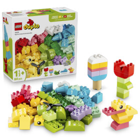 LEGO® DUPLO® 10479 Barevný kreativní box s kostkami