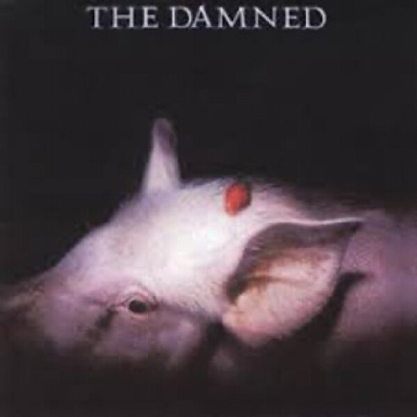 CD The Damned: Strawberries