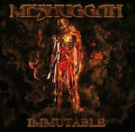Meshuggah Immutable