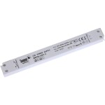 BIG WHITE (SLV) Můstkový LED driver 42 W, 500 mA pro NUMINOS®, včetně radiofrekvenčního rozhraní pro modul RF, DALI 1006459