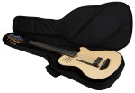 Godin A5 Ultra Natural Fretless A/E with Bag