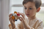 PlanToys PlanToys Logické puzzle - obdélníky