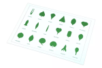 Moyo Montessori Moyo Montessori Tvary listů (karta)
