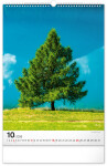 Nástěnný kalendář 2026 NOTIQUE - Stromy, 33 x 46 cm