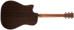 Furch Vintage 1 Dc-SR