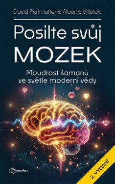 Posilte svůj mozek - David Perlmutter, Albert Villoldo