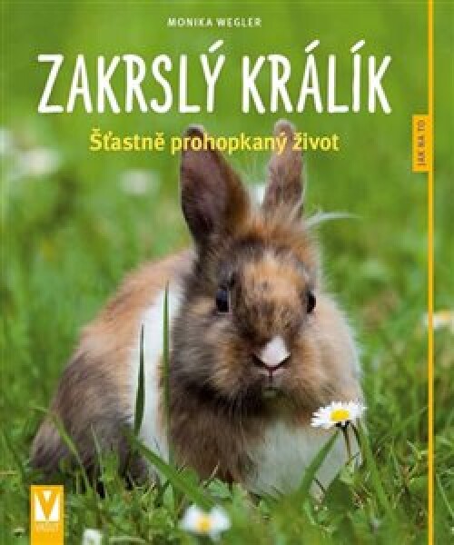 Zakrslý králík: Šťastně prohopkaný život - Jak na to - Monika Weglerová