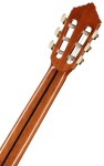 Alhambra Premier Pro Madagascar