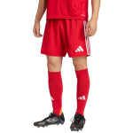Šortky adidas Tastigo 25 M JN7157 XL