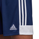 Pánské šortky 19 Adidas