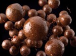 Delphin Boilies v dipu BreaX/MonstaFISH Monster Krab-Tuňák 200ml - 24mm,Delphin Boilies v dipu BreaX/MonstaFISH Monster Krab-Tuňák 200ml - 24mm