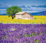 Nástěnný kalendář 2027 vázankový Helma Provence