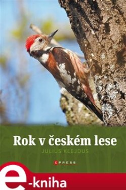 Rok českém lese