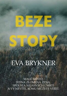 Beze stopy - Eva Brykner - e-kniha