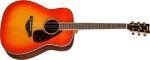 Yamaha FG830 ABS