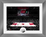 Highland Mint Obraz Chicago Bulls NBA Art Deco Stadium Silver Coin Photo Mint