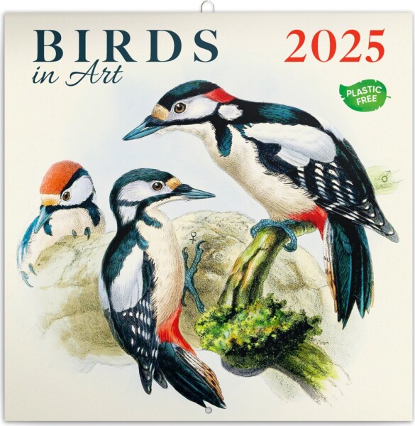 Kalendář 2025 poznámkový: Ptáčci, 30 × 30 cm