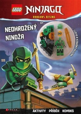 LEGO Ninjago Neohrožený nindža kolektiv