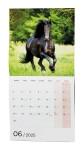 Koně 2025 nástěnný kalendář