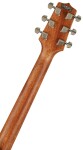 Takamine GD20CE-NS