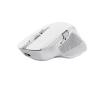 Trust Ozaa+ Multi-Connect Wireless Mouse 24935 EDF_1667367