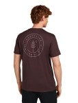 Pánské merino tričko s krátkým rukávem ICEBREAKER Mens 150 Tech Lite SS Tee Hike Naturall, Java velikost: XL