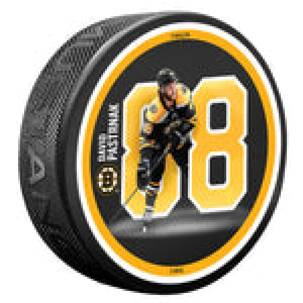 Mustang Puk Boston Bruins NHL Breakout Series - David Pastrnak