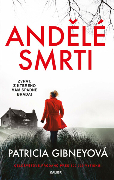 Andělé smrti - Patricia Gibneyová