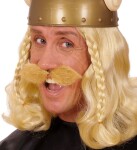 R-Kontakt.cz Knír Viking blond