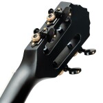 Ortega RTPS Tenor SBK