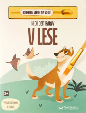 Nech ožít barvy V lese - Kolektiv