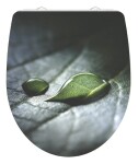 Schütte RAINDROP | Duroplast HG, Soft Close 4008431825830