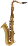 Eastman ETS223V