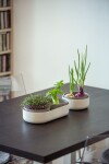 Plastia Velká farma Microgreens+Regrow - slonová kost s kávovou sedlinou