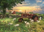 COBBLE HILL Puzzle Pole při východu slunce