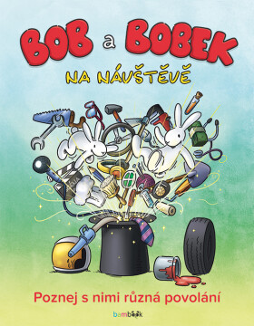 Bob a Bobek na návštěvě - Poznej s nimi různá povolání - kolektiv autorů