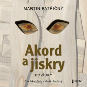 Akord jiskry Martin Patřičný audiokniha