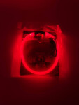 Blesk LED nabíjecí obojek pro psa Barva: Růžová, Obvod krku: 50 cm