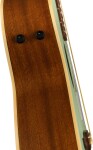 Fender Newporter Player WN SFG