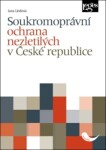 Soukromoprávní ochrana nezletilých České republice