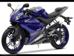 Yamaha Yzf R 125 08-15 Plexi Standard