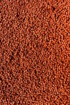 FeederBait Pelety Method Pellet 2mm 800g - Competition Carp,FeederBait Pelety Method Pellet 2mm 800g - Competition Carp