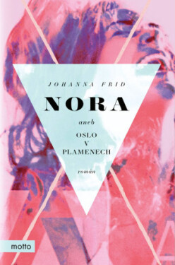 Nora aneb Oslo v plamenech - Johanna Frid - e-kniha