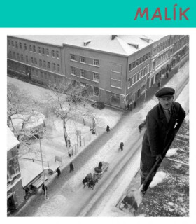 Malík Viliam (slovensky) - Aurel Hrabušický