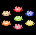 Ptakoviny.cz Lampion vodní růžový