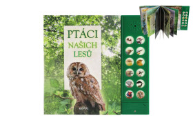 Ptáci našich lesů