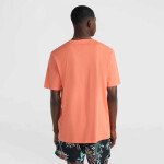 O'Neill Mix Match Palm T-Shirt 92800613905