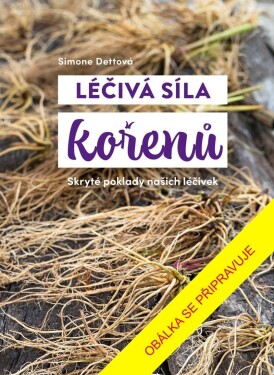 Léčivá síla kořenů - Simone Dettová