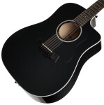 Taylor 250ce-BLK Plus